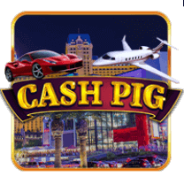 cash pig