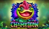 chameleon