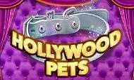hollywood pets