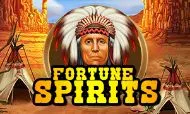 fortune spirits