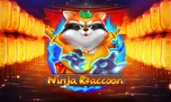 ninja raccoon
