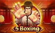 5 boxing