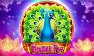 double fly