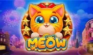 meow