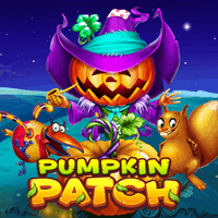 pumpin patch