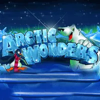 arctic wonders