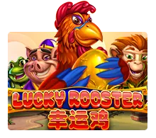 lucky rooster