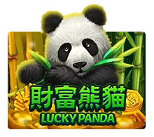 lucky panda