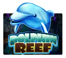 dolphin reef