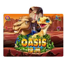 oasis