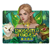 enchanted forest