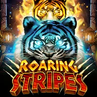roaring stripes