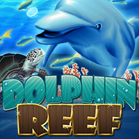 dolphin reef