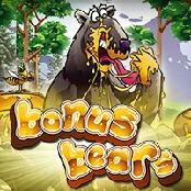 bonus bear