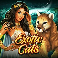 exotic cats