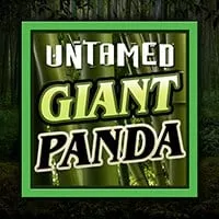 untamed - giant panda