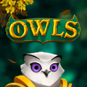 owls