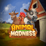 animal madness