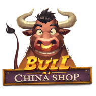 bull in a china shop
