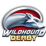 wildhound derby