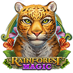 rainforest magic