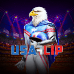 usa flip
