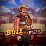 bull in a rodeo