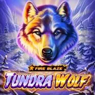 fire blaze golden: tundra wolf