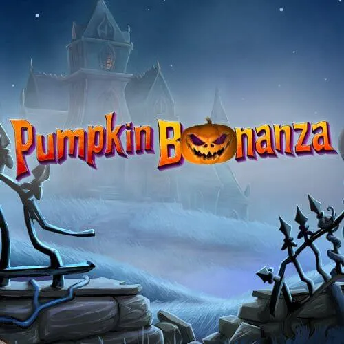 pumpkin bonanza
