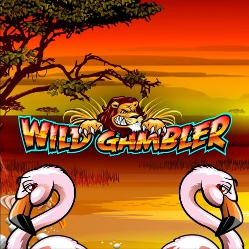 wild gambler