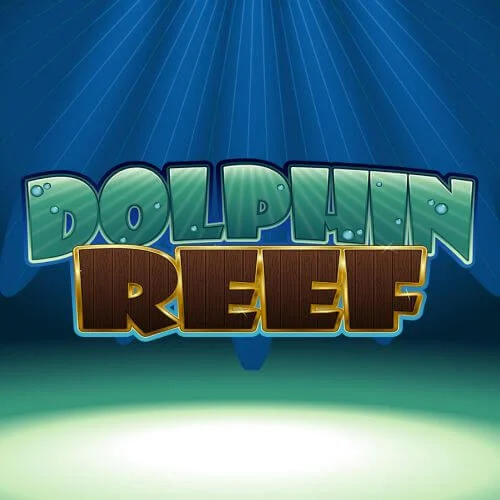 dolphin reef