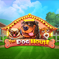 Dog House