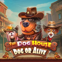 Dog House Dog or Alive