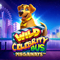 Wild Celebrity Bus