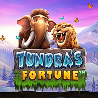 Tundras Fortune
