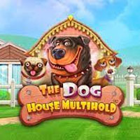 Dog House Multi Hold
