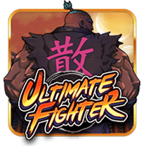 ultimate fighter