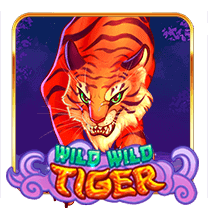 wild wild tiger