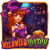 wild wild witch