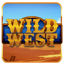 wild westh5