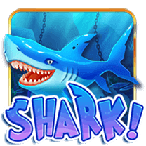 shark!