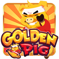 golden pig