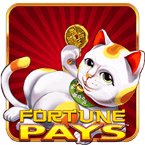 fortune pays h5
