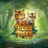 tiger_tiger