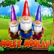 moley moolah