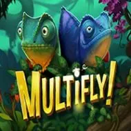 multifly!